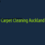 Carpet Cleaning Auckland