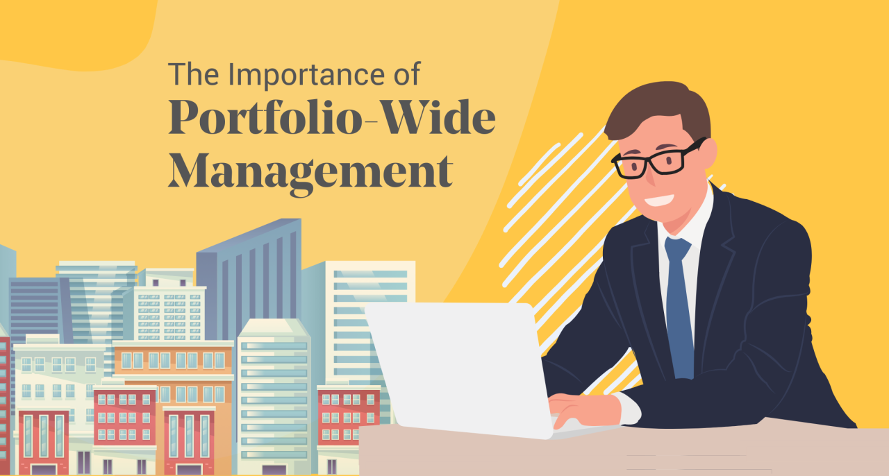 MFI-Portfolio-Management