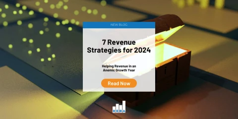 Revenue-Strategies-2024