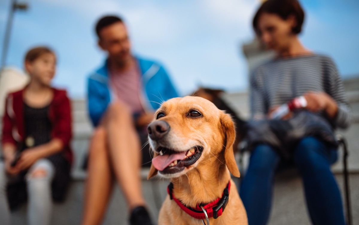 Data Suggests an Increase of Pet Owners at Apartment Communities