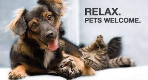 relax-pets-welcome