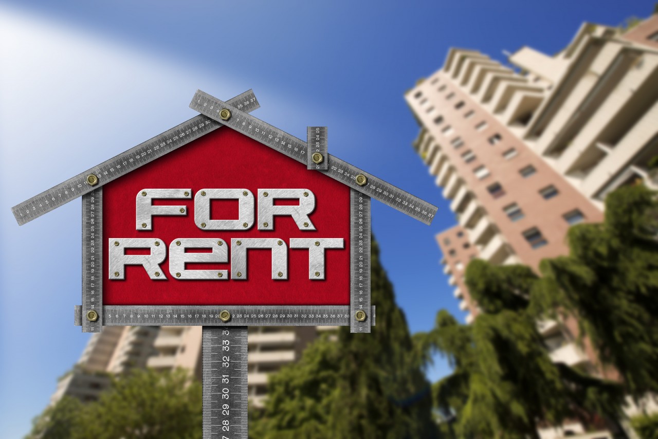 6 Ways to Damage Proof Your Rental