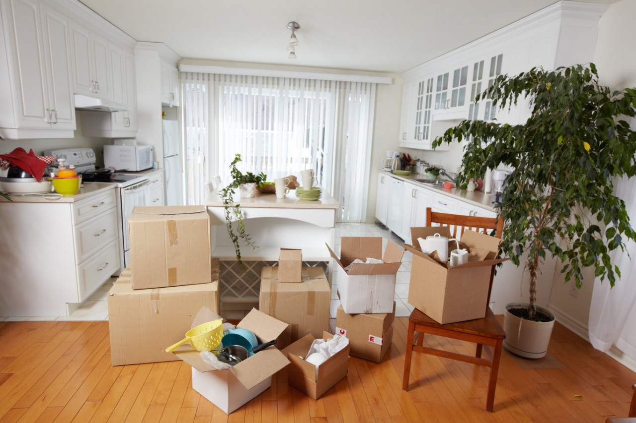 7 Tips To Simplify The Student Housing Move-In Rush