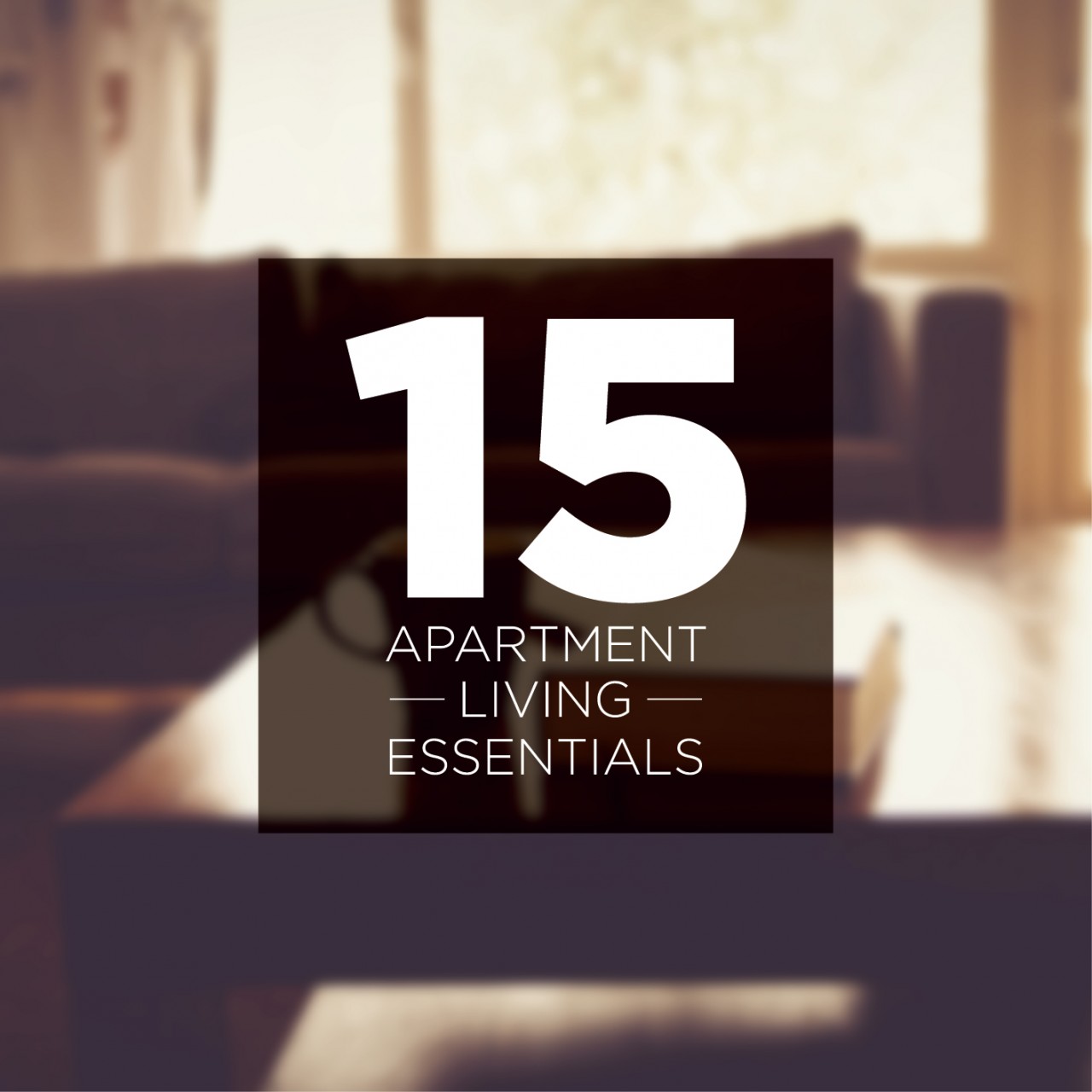 15 Apartment Living Essentials