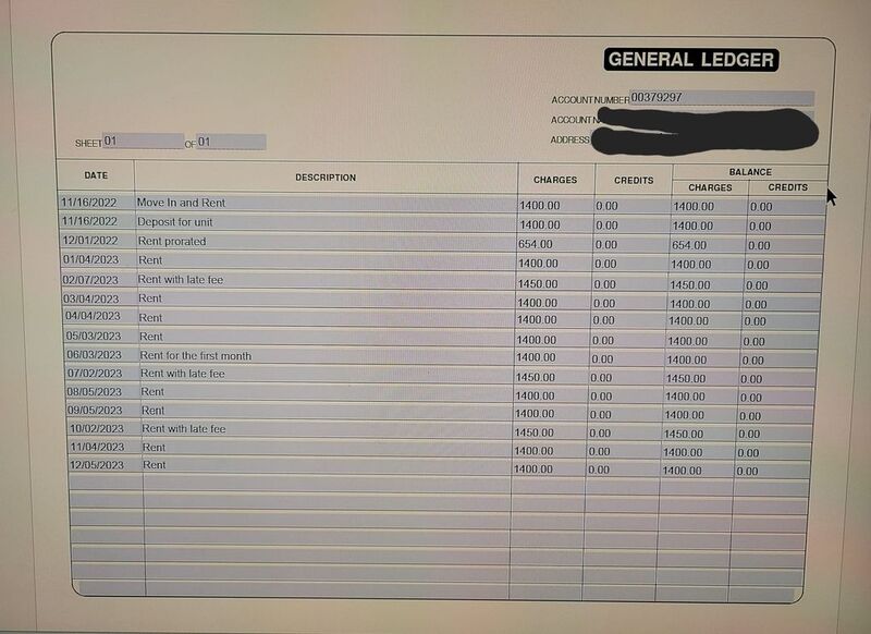 On today's episode of I am a house for rent...We have a 42 yo lady applying to rent with her  Daughter in law...  Her two under ages sons and grandson will also be living in the house but NOT the 20ish yo father of the grandson...   BS but whatever...  I ask for a tenant ledger from the complex shes at and she sends me the General Ledger below lol. When I open the pdf it is fillable...   lol.  After search for the real managers number the lady says were in the process of evicting her, any money she has for a new place is because she hasn't paid here, when I ask did you send a tenant ledger this morning she says no I said I have to send you a pic of this one you'll get a laught...  Just another day...