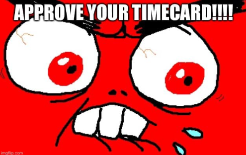 Do you have to chase down your employees to approve their time card so you can submit payroll and it gives you rage every two weeks? I have streamlined the process by making this lovely meme that I use when people have not approved their time. I feel like it perfectly captures our rage and annoyance from having to chase people down ti approve their time! feel free to use as well in your conquest