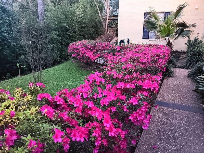 Too many companies forget about the importance of beautiful Landscaping.